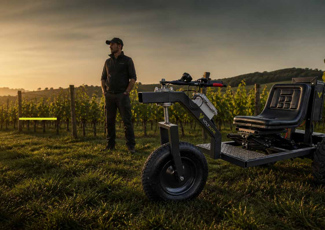 Un vigneron près de Voltache dans les vignes